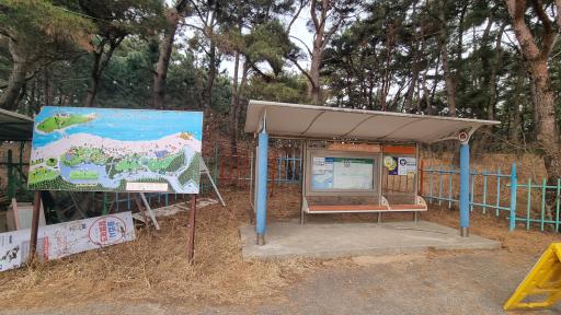 실미해수욕장