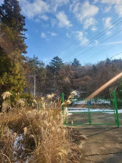 소록도해수욕장