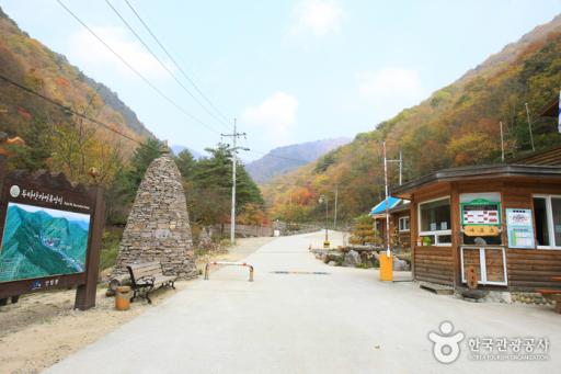 32. 두타산자연휴양림