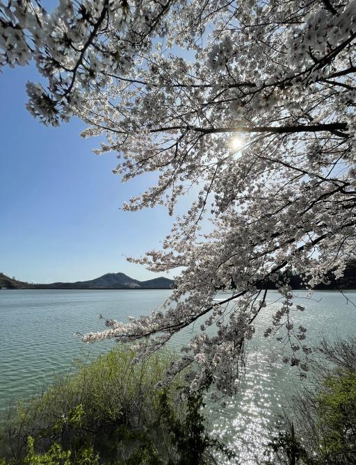 6. 달창저수지