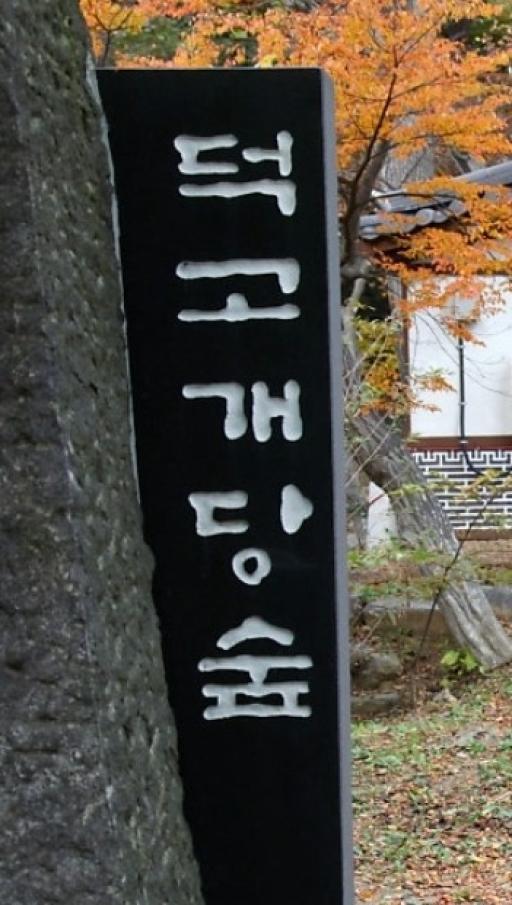 덕고개당숲
