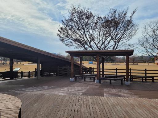 263. 용산전망대