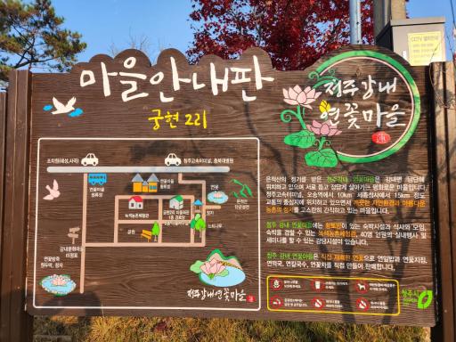 연꽃마을