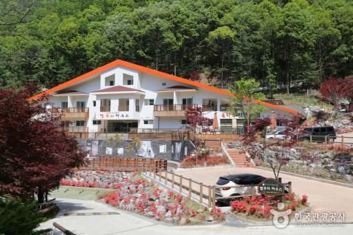 12. 좌구산자연휴양림