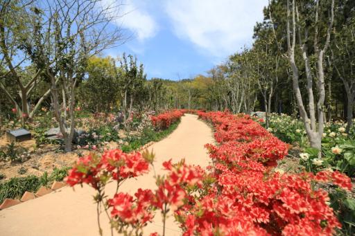 51. 천사섬분재공원