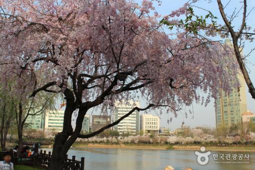 송파나루공원 서호