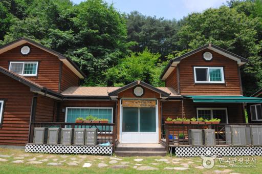 홀로세생태학교