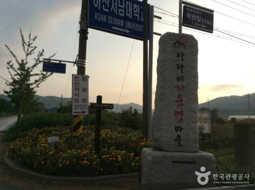다라미자운영마을