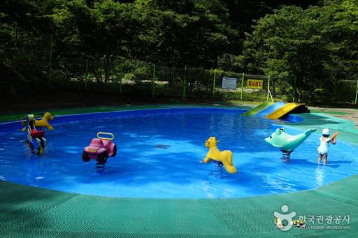 25. 천동물놀이장