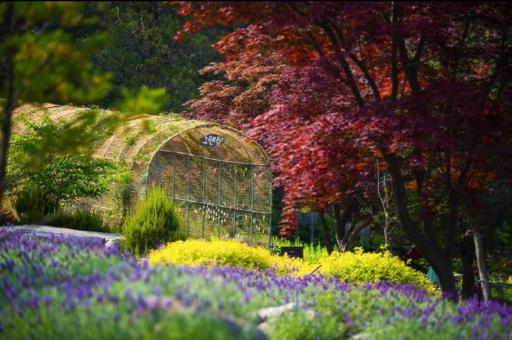 17. 산들소리수목원