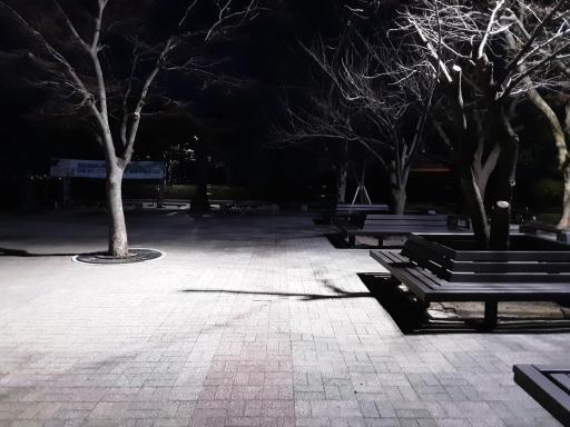 부산중앙공원