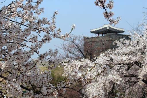 5. 수원화성