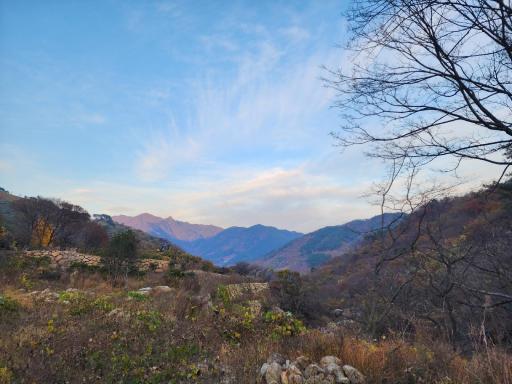 금천계곡