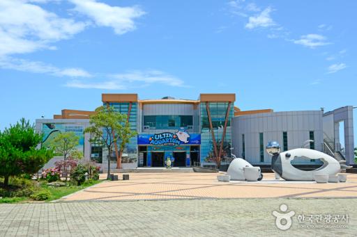 17. 울진아쿠아리움