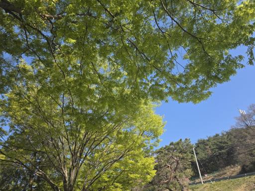 도음산