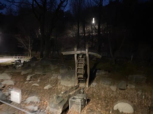 90. 남산야외식물원