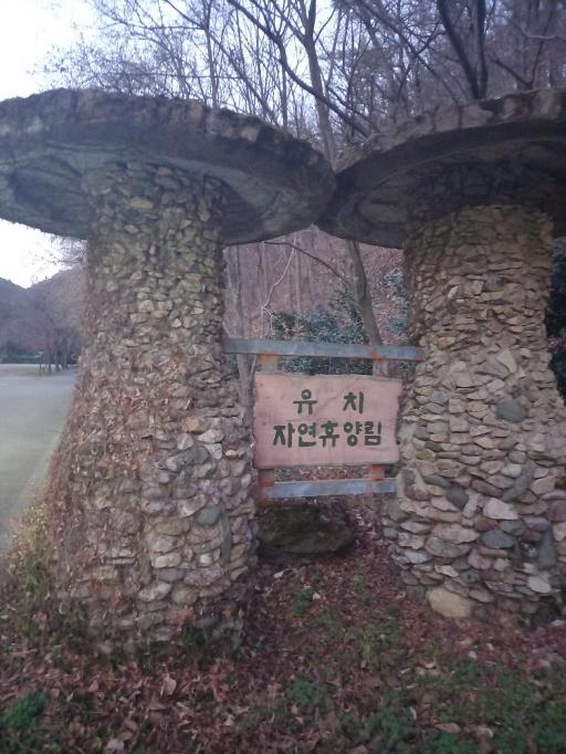 유치자연휴양림관리사무소