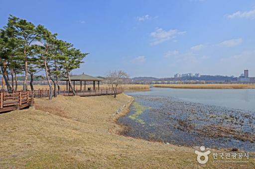 7. 화랑유원지