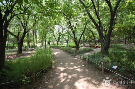 103. 관악산야외식물원