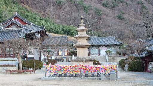 30. 표충사