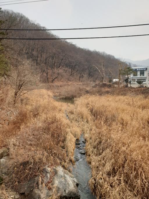 팔현계곡