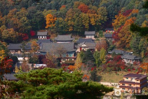 24. 봉선사