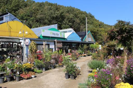 68. 퇴촌식물원