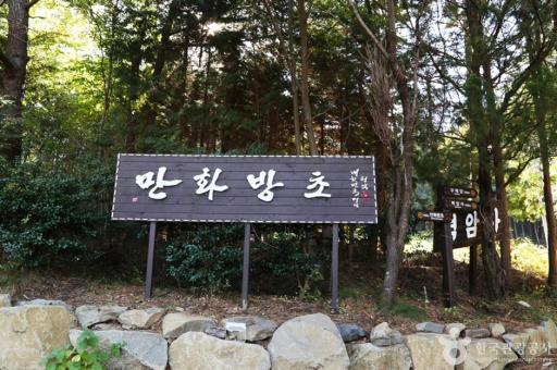 281. 만화방초