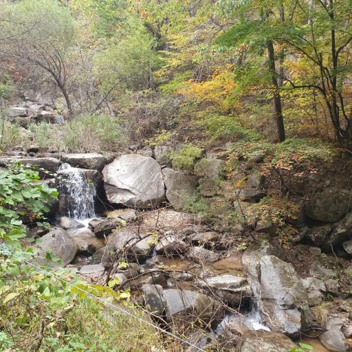 용연동계곡