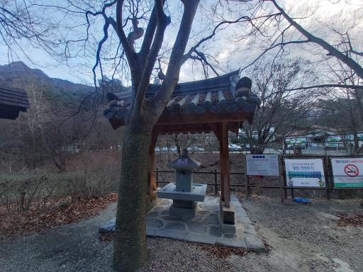 13. 동학사