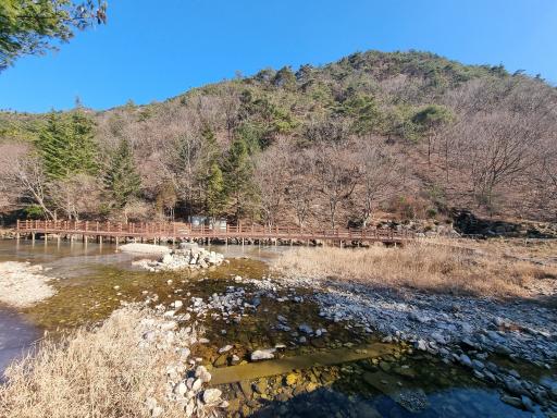 고산자연휴양림