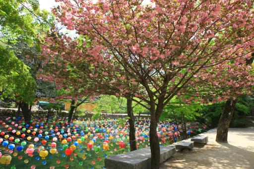 37. 송광사