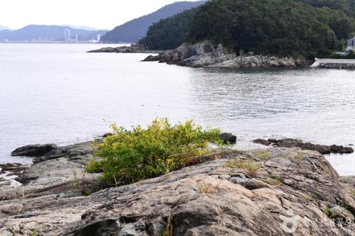 모사금해변