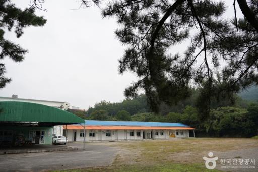 경주치즈학교