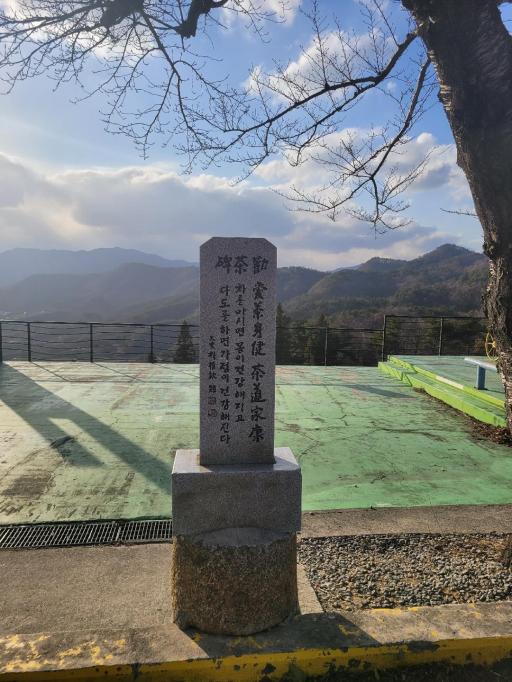 150. 보성차밭전망대