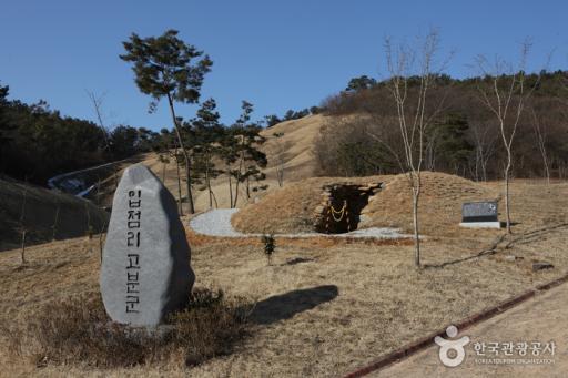 익산입점리고분