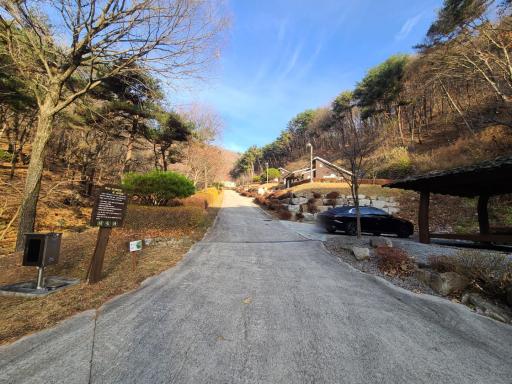 171. 산삼자연휴양림