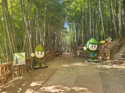 47. 거제맹종죽테마파크