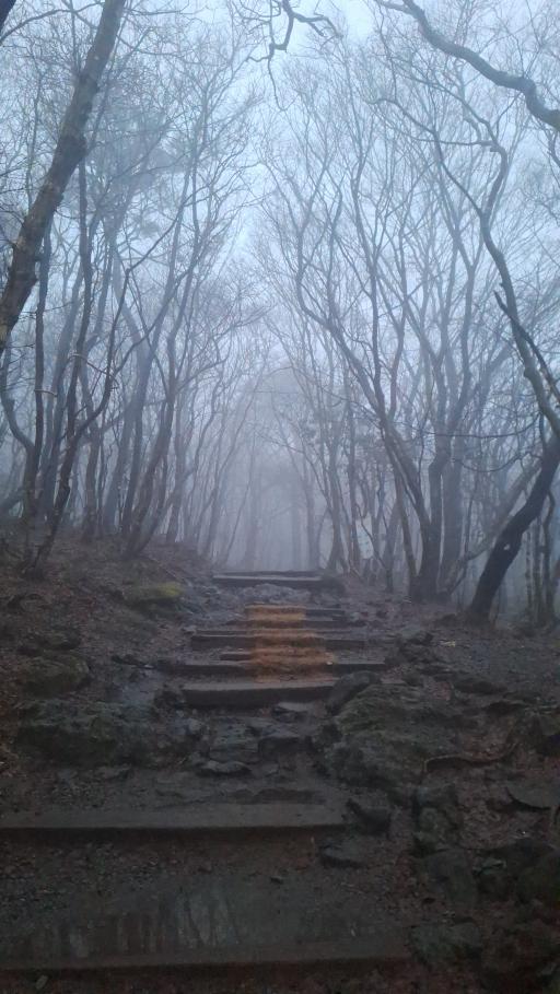 한라산