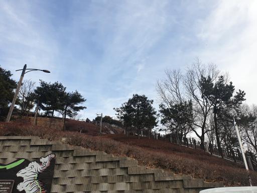 110. 구봉산전망대