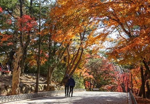 불국사