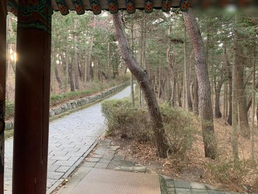 25. 경주김유신장군묘