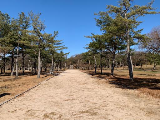 34. 경주오릉