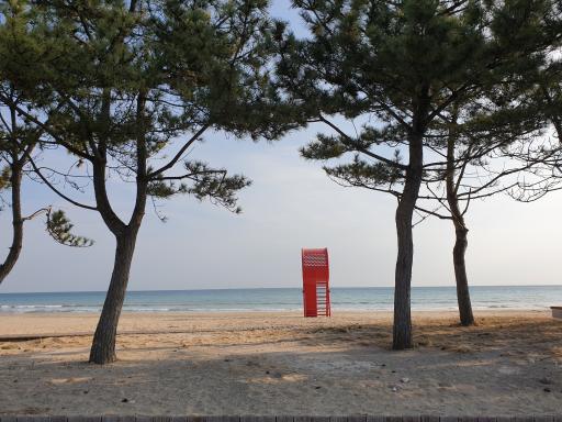 월포해수욕장