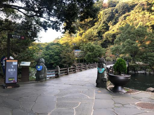 천지연폭포