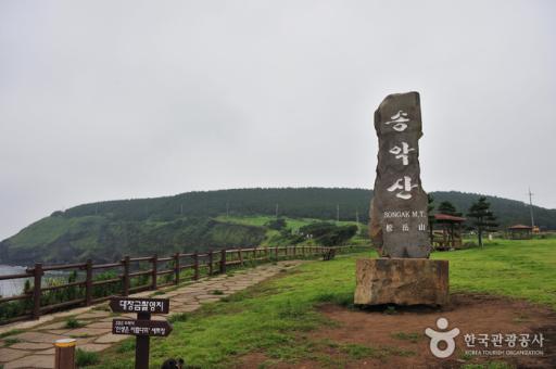 송악산
