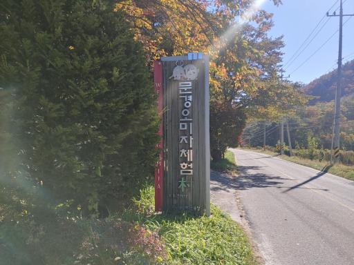 문경오미자체험마을