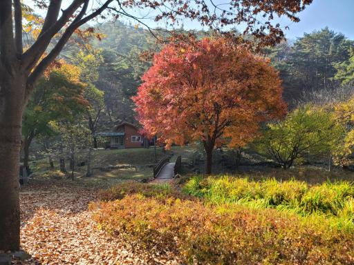 130. 만수산자연휴양림