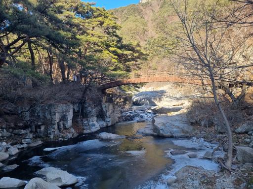 홍류동계곡