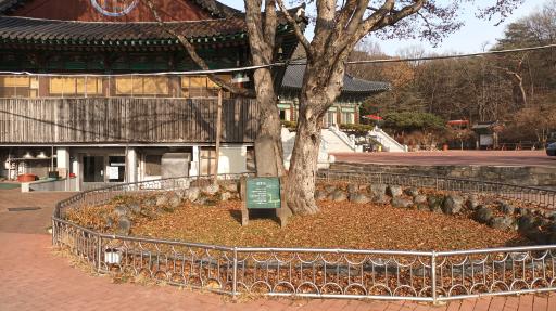 105. 영화사